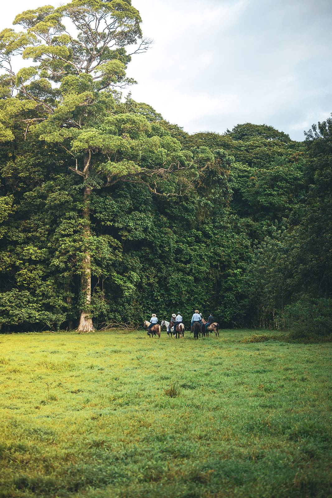 Horseback riding in lush Costa Rica tropical rainforest