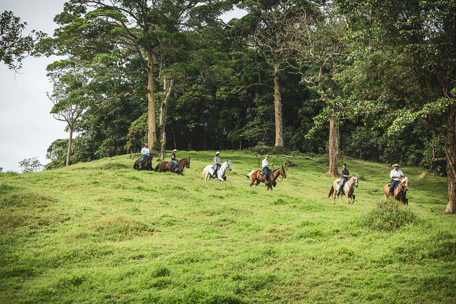 Horseback riding