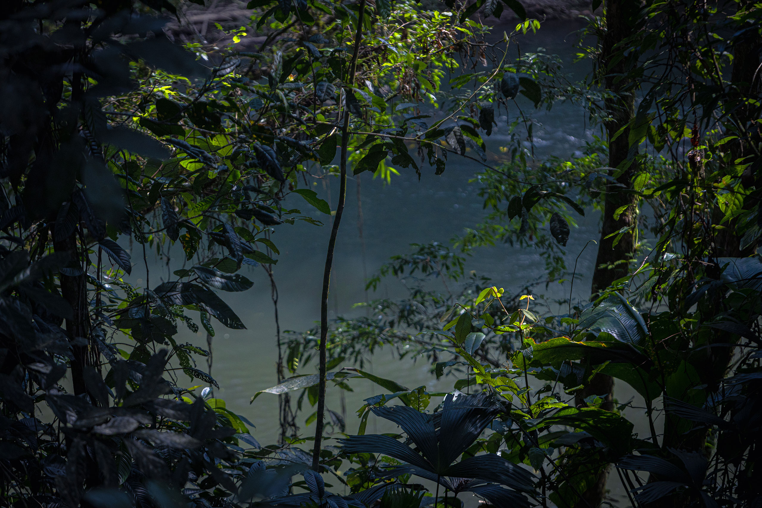 Costa Rica rainforest & river