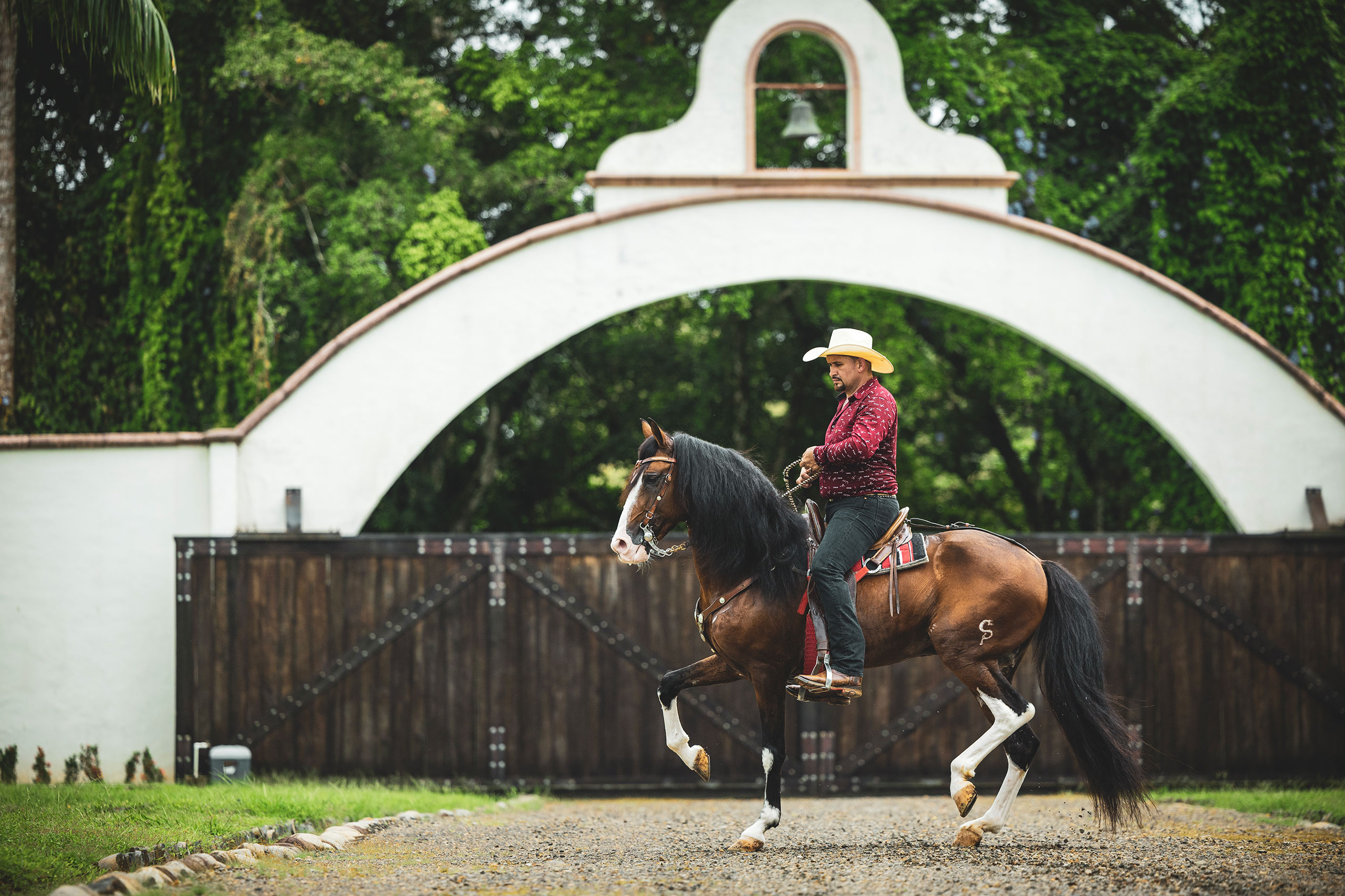 Horseback riding