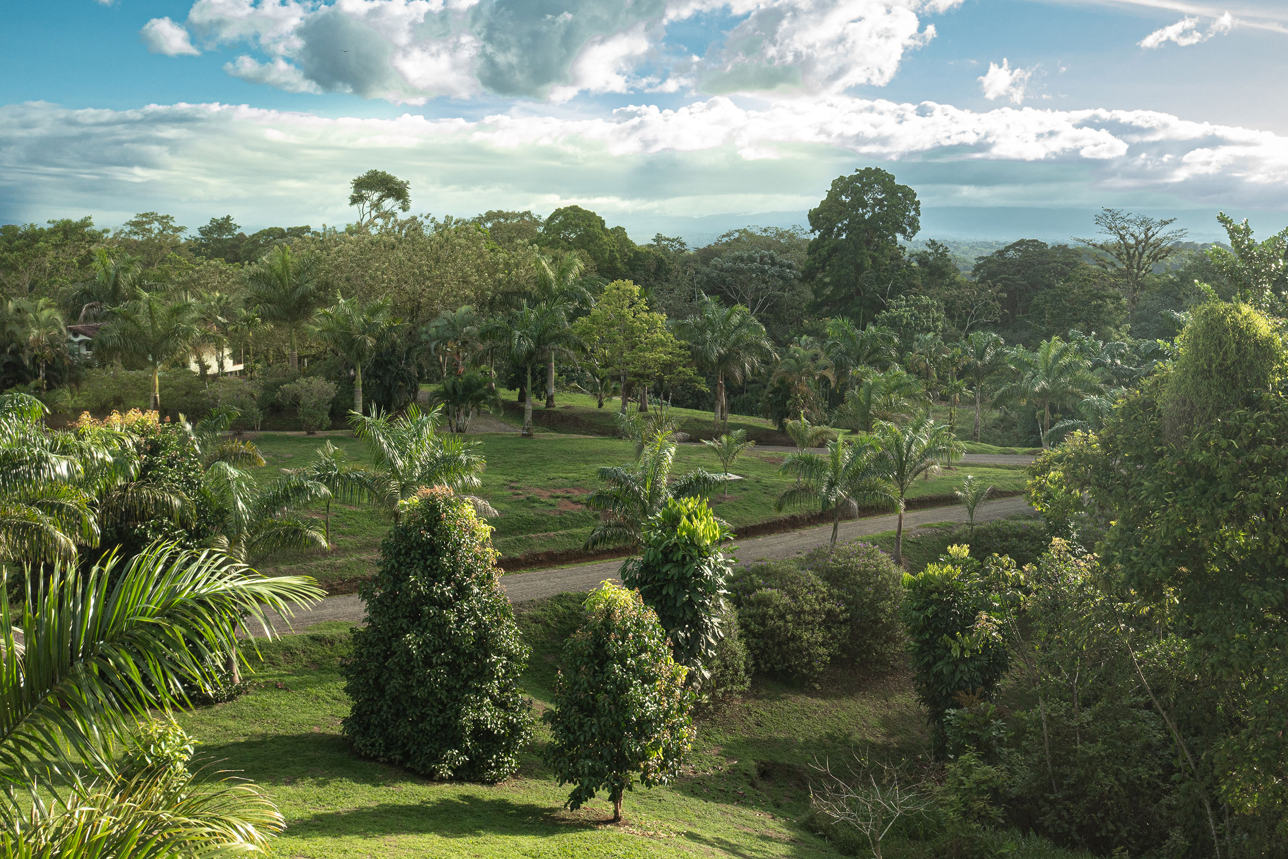 El Lugar Costa Rica