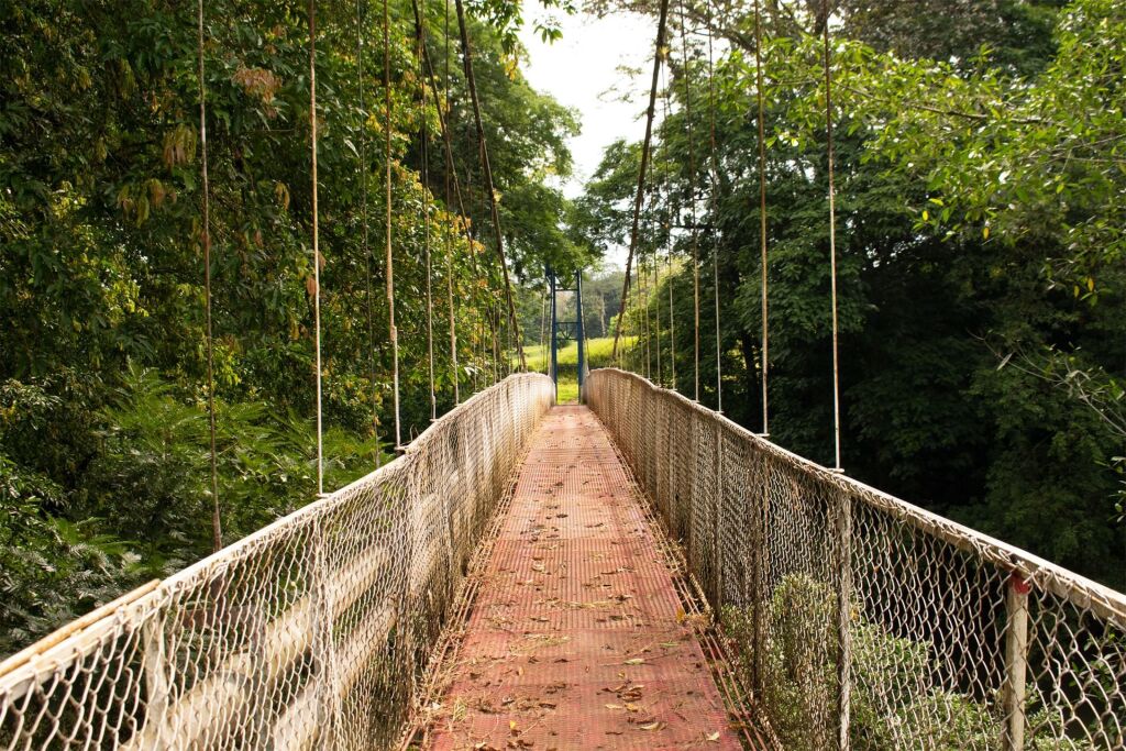 Nature walk